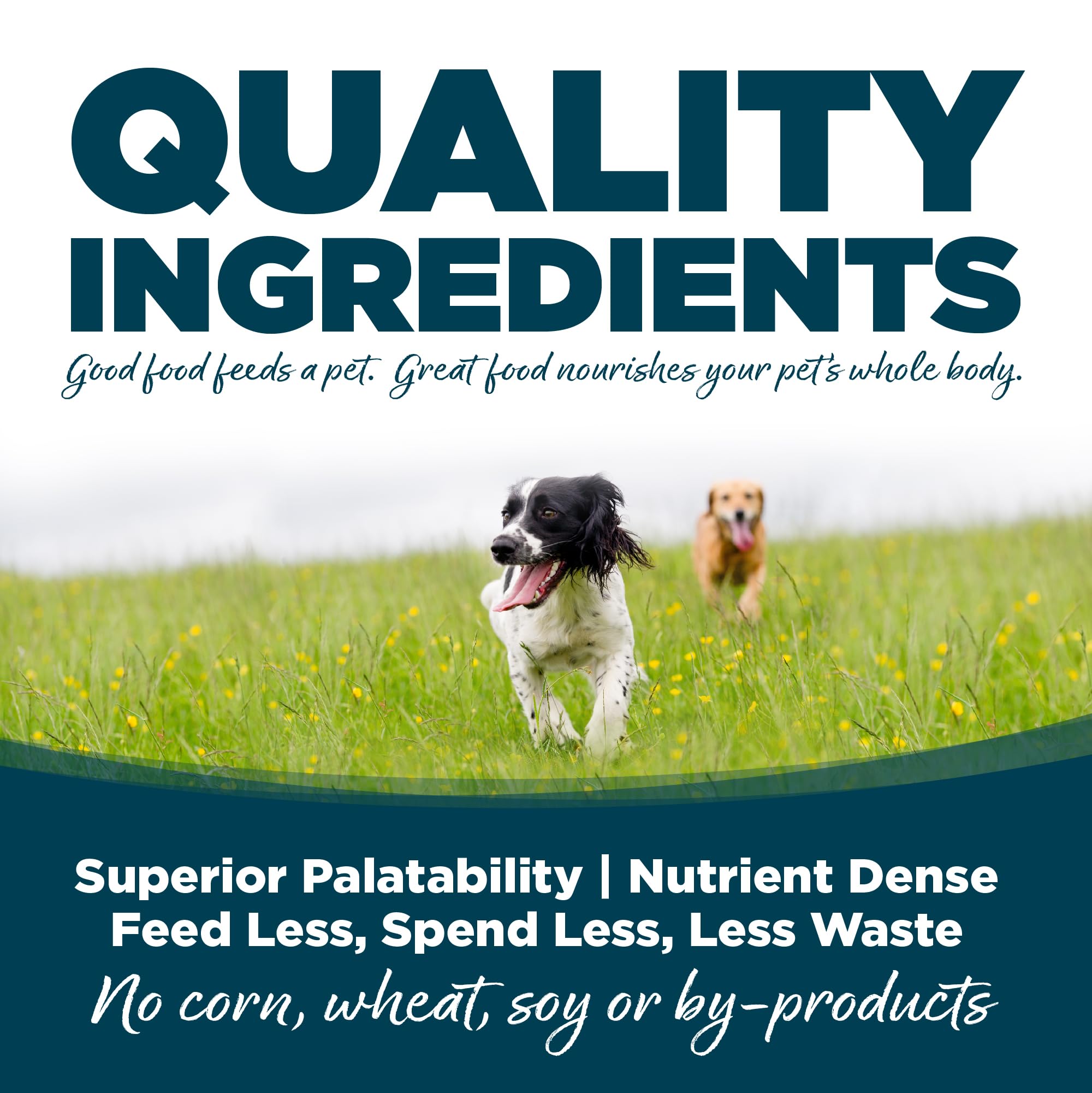 NutriSource con probióticos y prebióticos para digestión equilibrada.