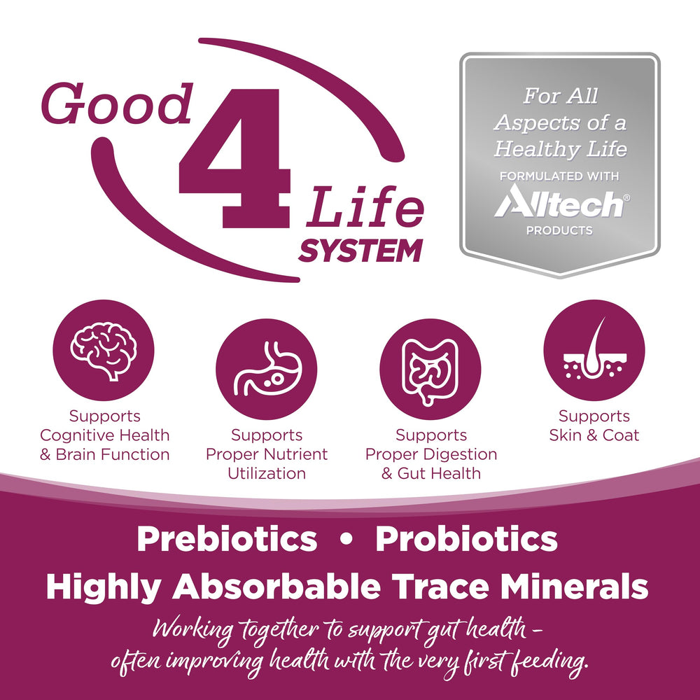NutriSource probióticos-prebióticos: podrían apoyar la salud intestinal y absorción de nutrientes.