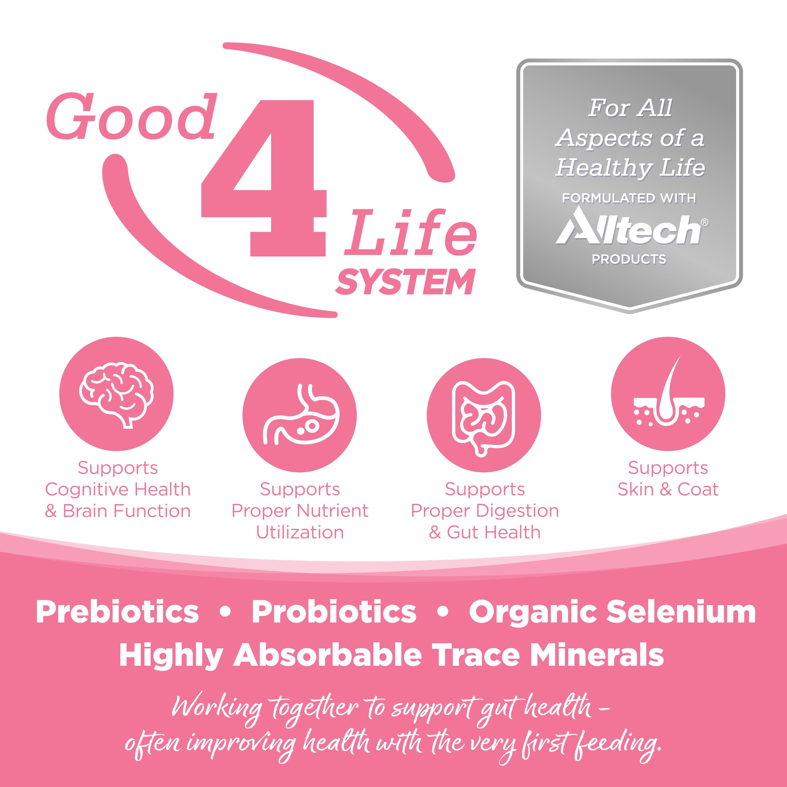 Detalle de salmón y guisantes, ingredientes clave de NutriSource Pure Vita.