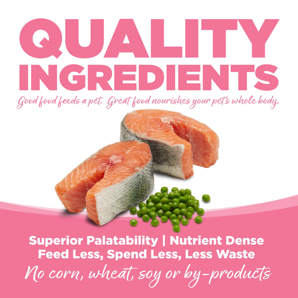 Perro comiendo en tazón con NutriSource Pure Vita Salmon y Guisantes.