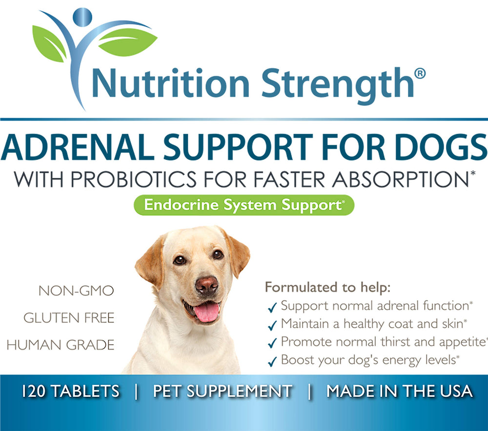 Equilibrio endócrino potencial con hierbas, Nutrition Strength Adrenal Support para perros.