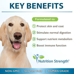 Nutrition Strength MCT para perros cápsulas blandas, administración diaria fácil.