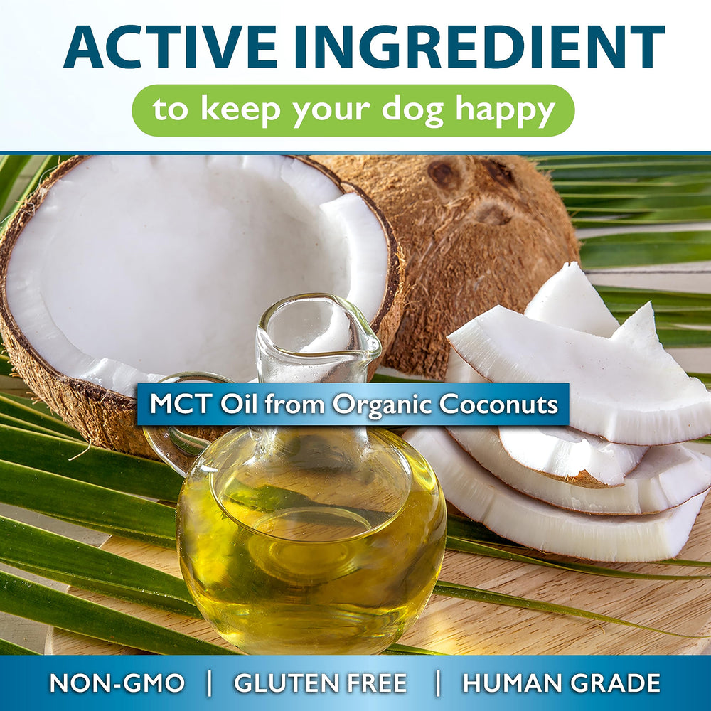 Nutrition Strength MCT para perros, energía diaria para actividad.