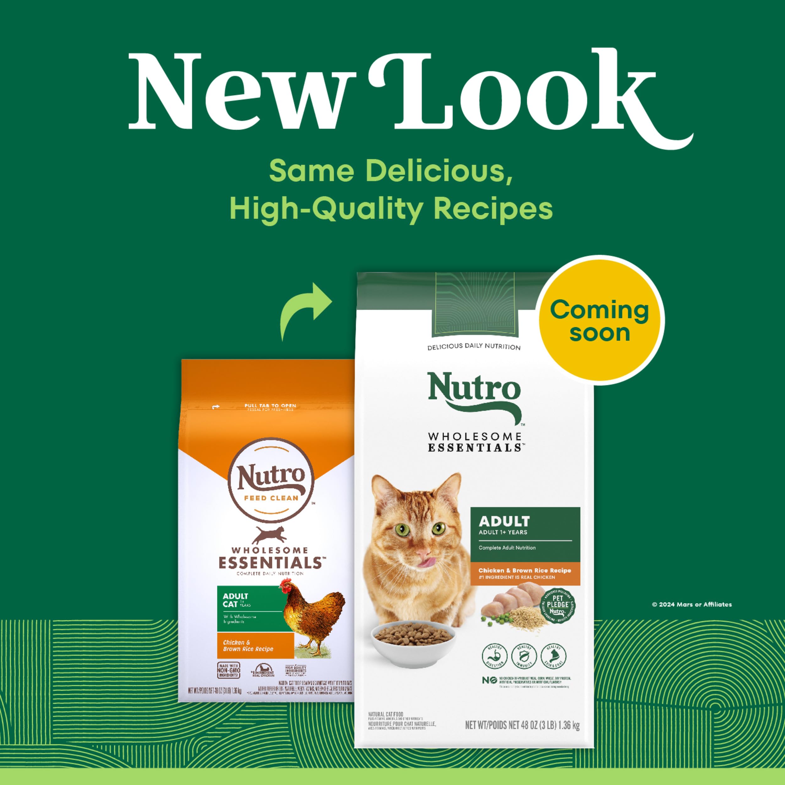 Kibble rico en omega-6 para piel y pelaje sanos en gatos