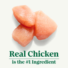 Ingrediente principal: pollo real para nutrición de gato adulto