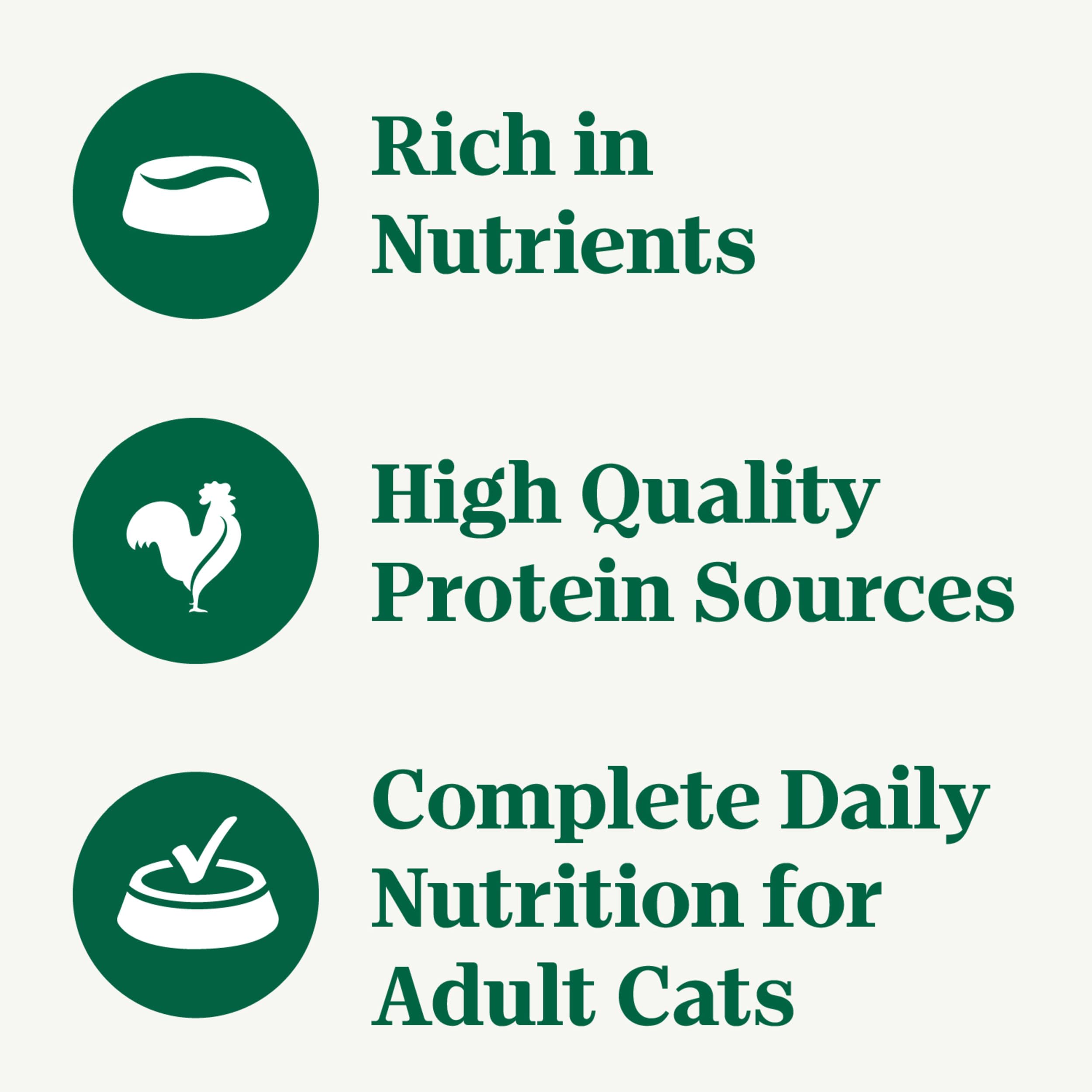 Nutro Pate Gato Pavo Envase: tarro práctico para porciones individuales.