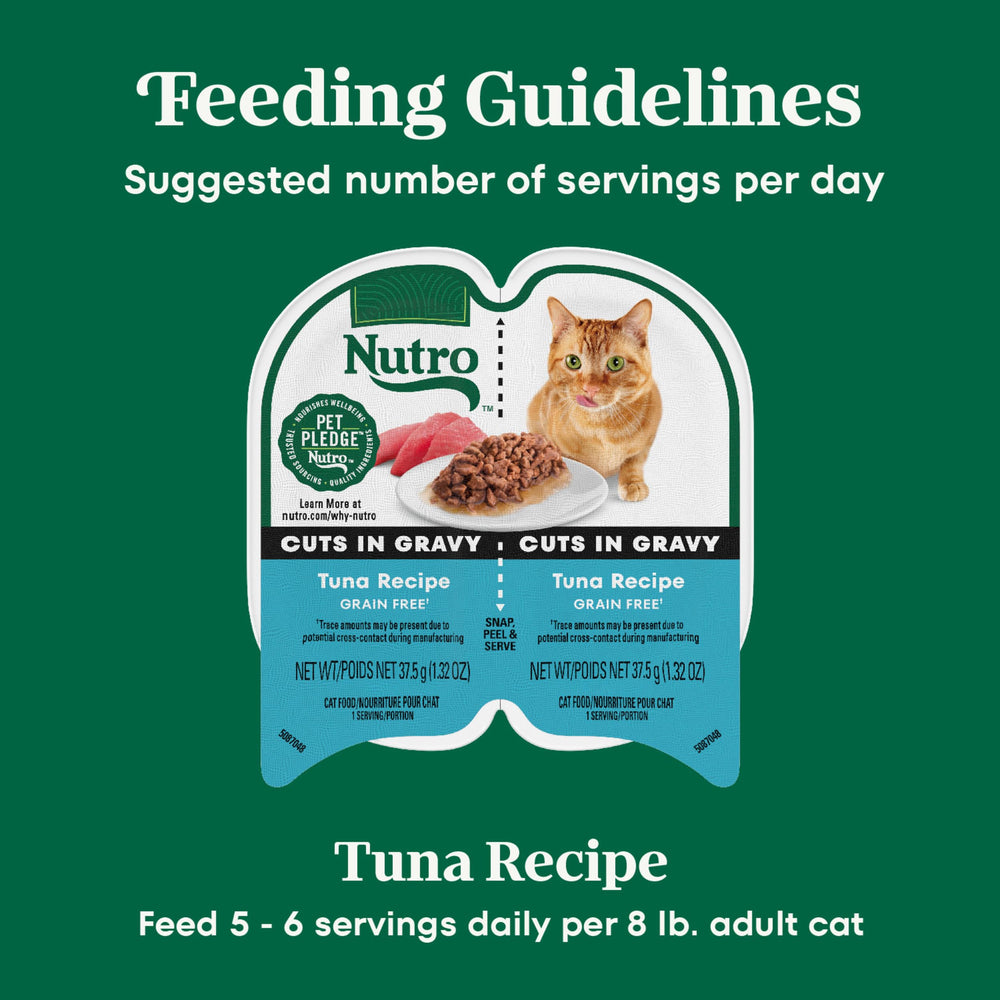 Ingredientes naturales y nutrientes esenciales para gatos adultos.