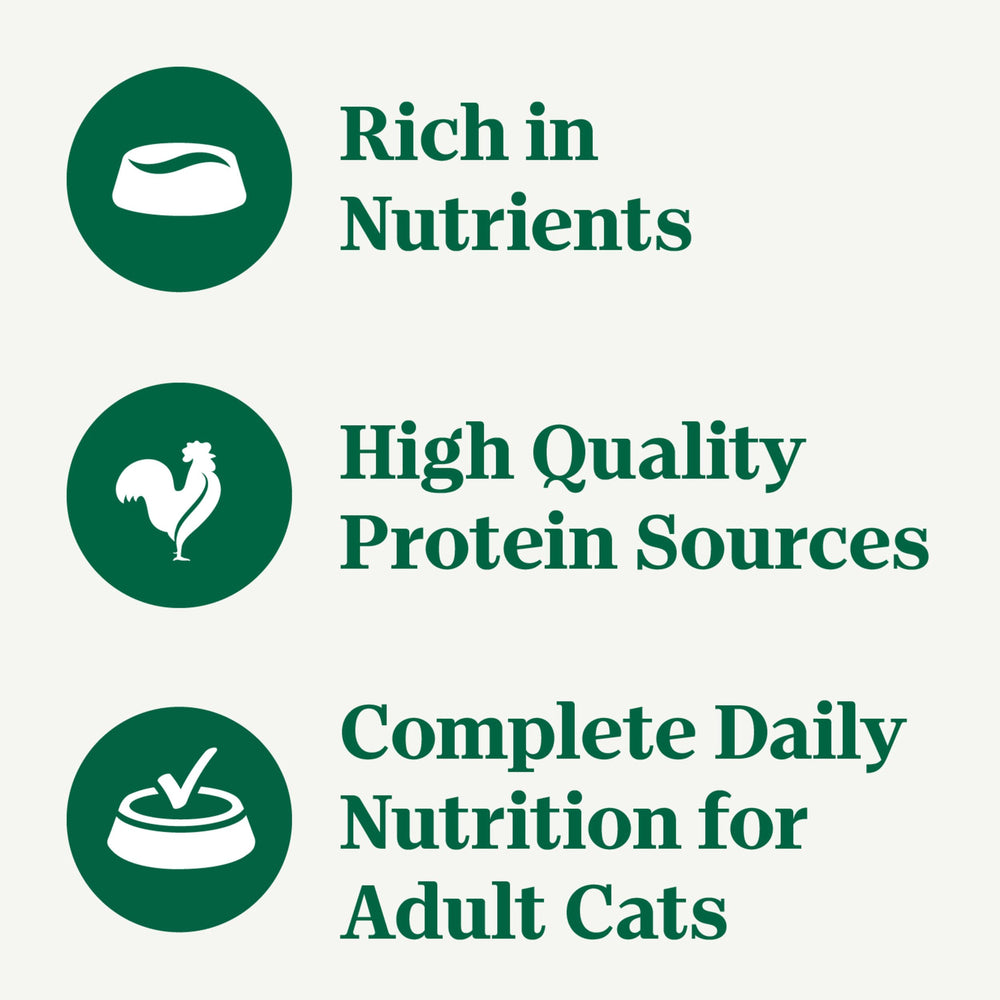 Nutro pate con proteínas de alta calidad para gatos.