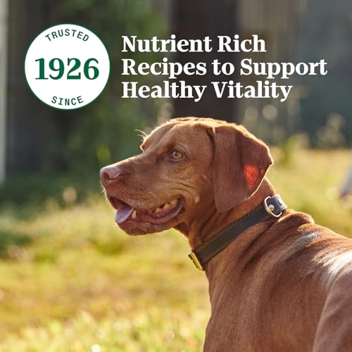 Nutro Premium Loaf en lata de pavo para perros adultos, opción sin granos.