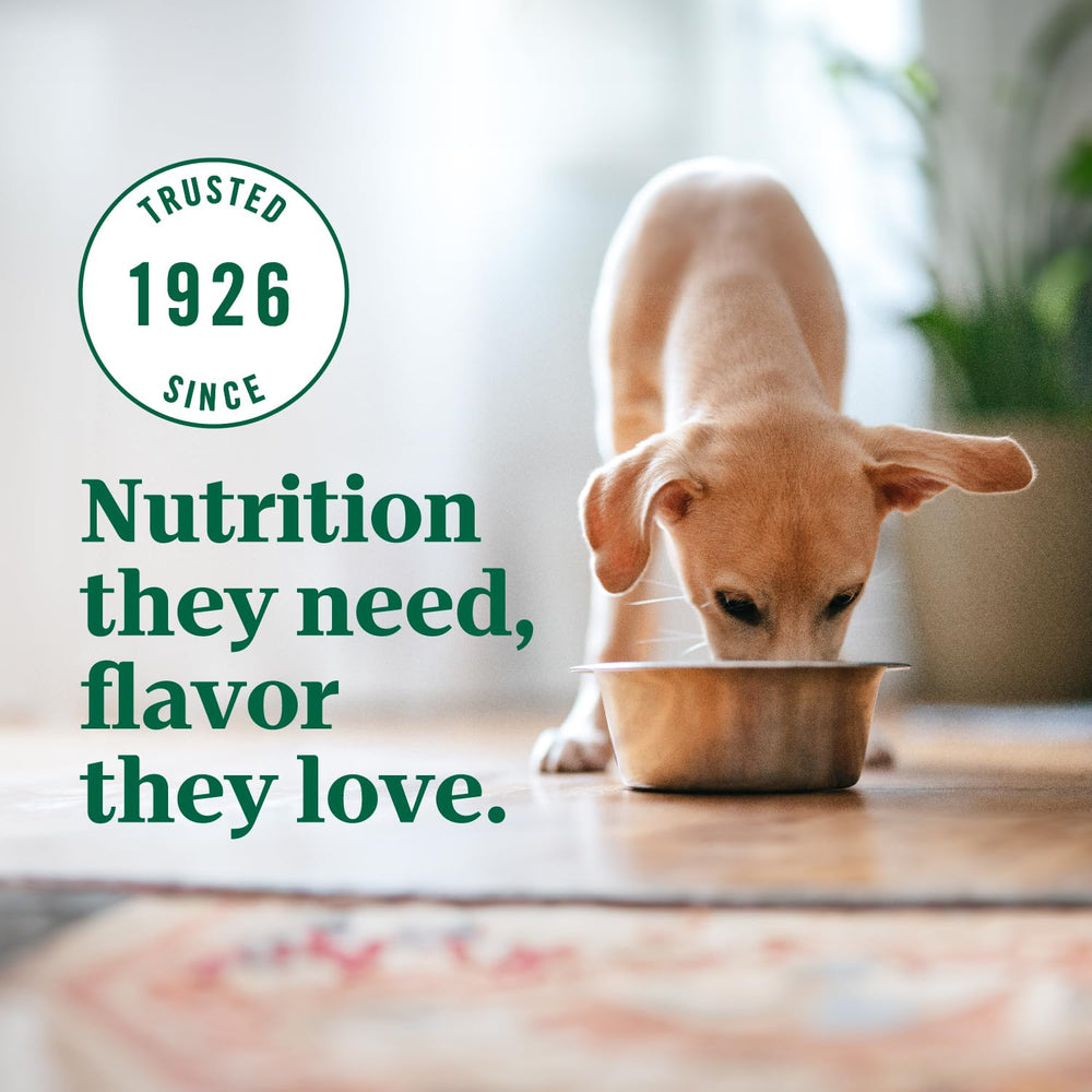 Nutro Ultra, ideal para cachorros en crecimiento y energía diaria