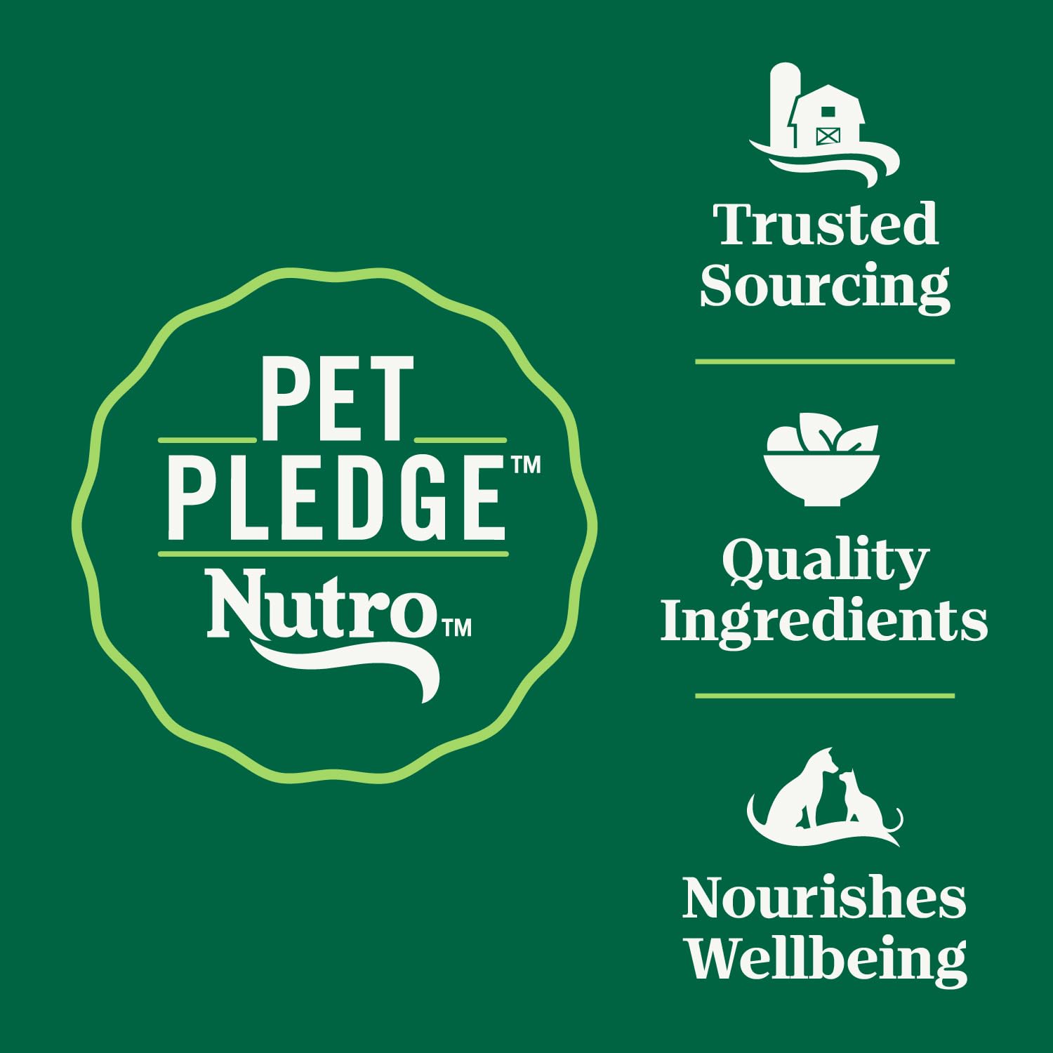Nutro Wholesome Essentials para gatos adultos con estómago sensible, comida seca completa
