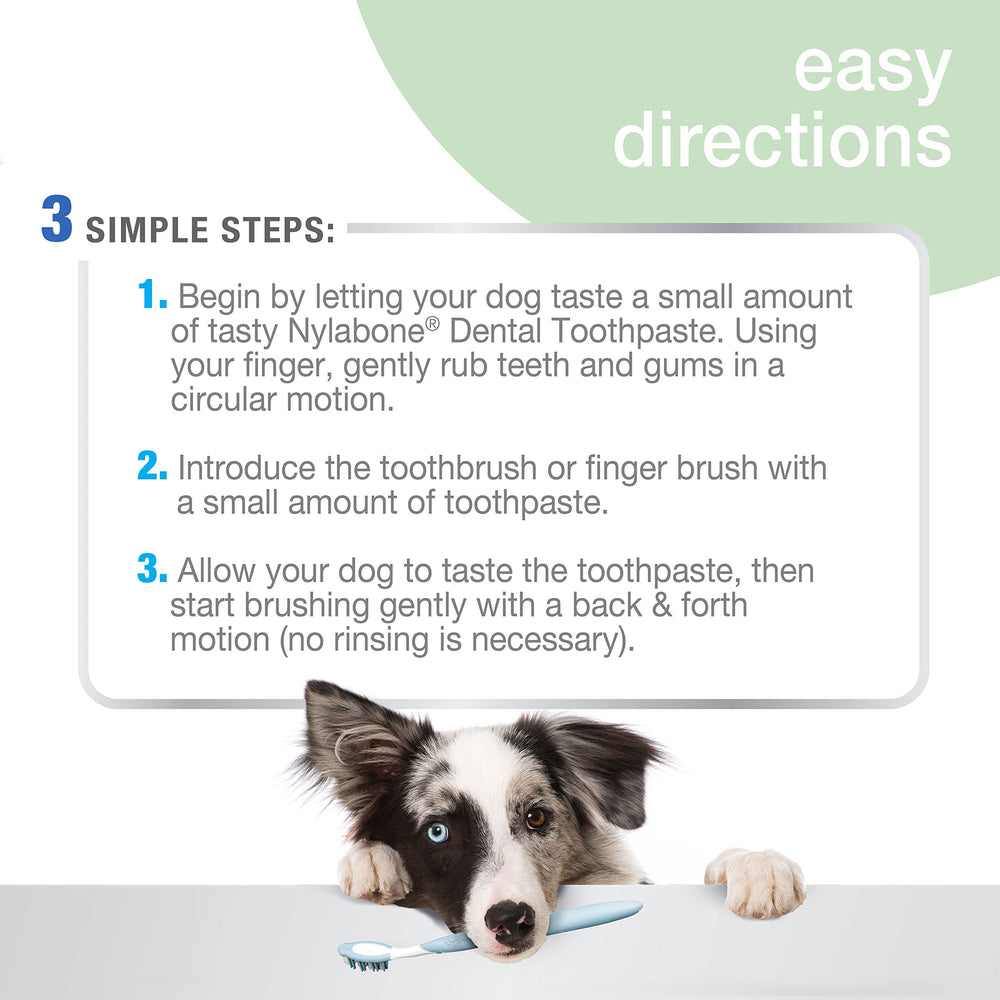 Empaque de Nylabone Advanced Oral Care listo para uso diario.