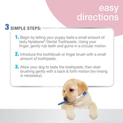 Nylabone Advanced Oral Care Puppy Dental Kit original, pasta dental Denta-C para sabor original.