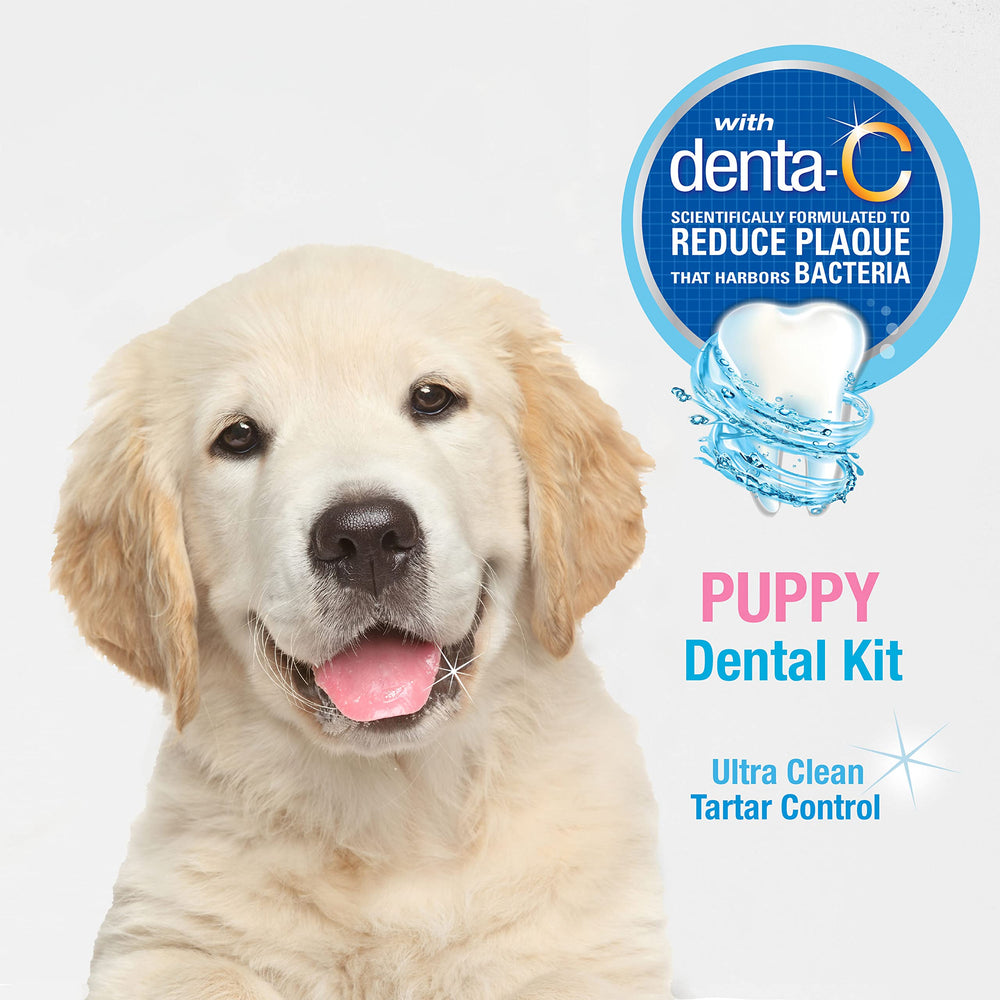 Nylabone Advanced Oral Care Puppy Dental Kit original, pasta dental hecha en EE. UU. para seguridad.