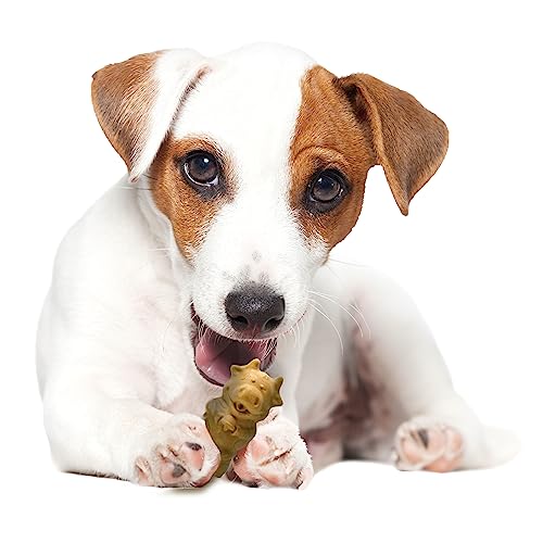 Nylabone Healthy Edibles, formas divertidas de animales para motivar la masticación.