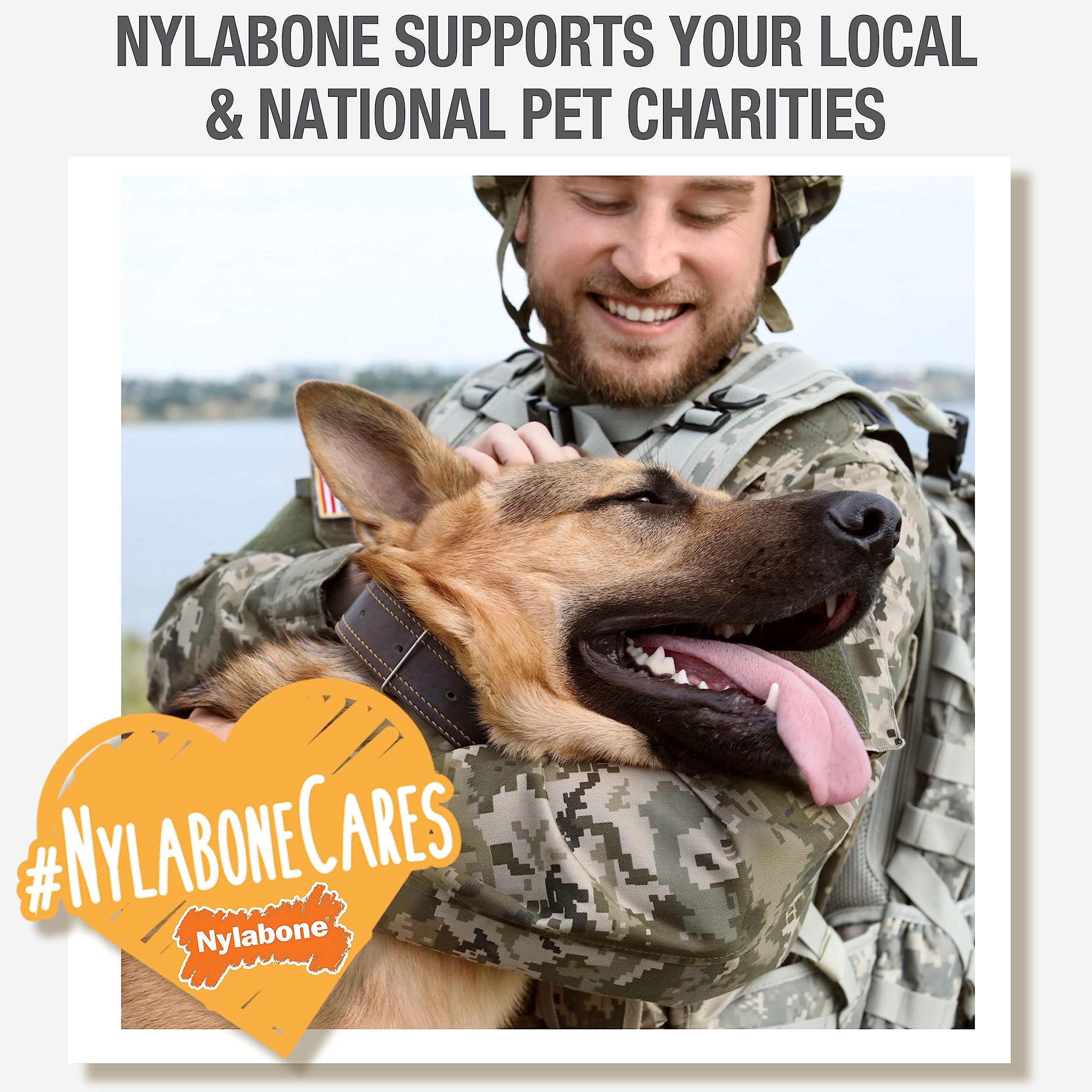 Nylabone Healthy Edibles, sin sal añadida ni colorantes.