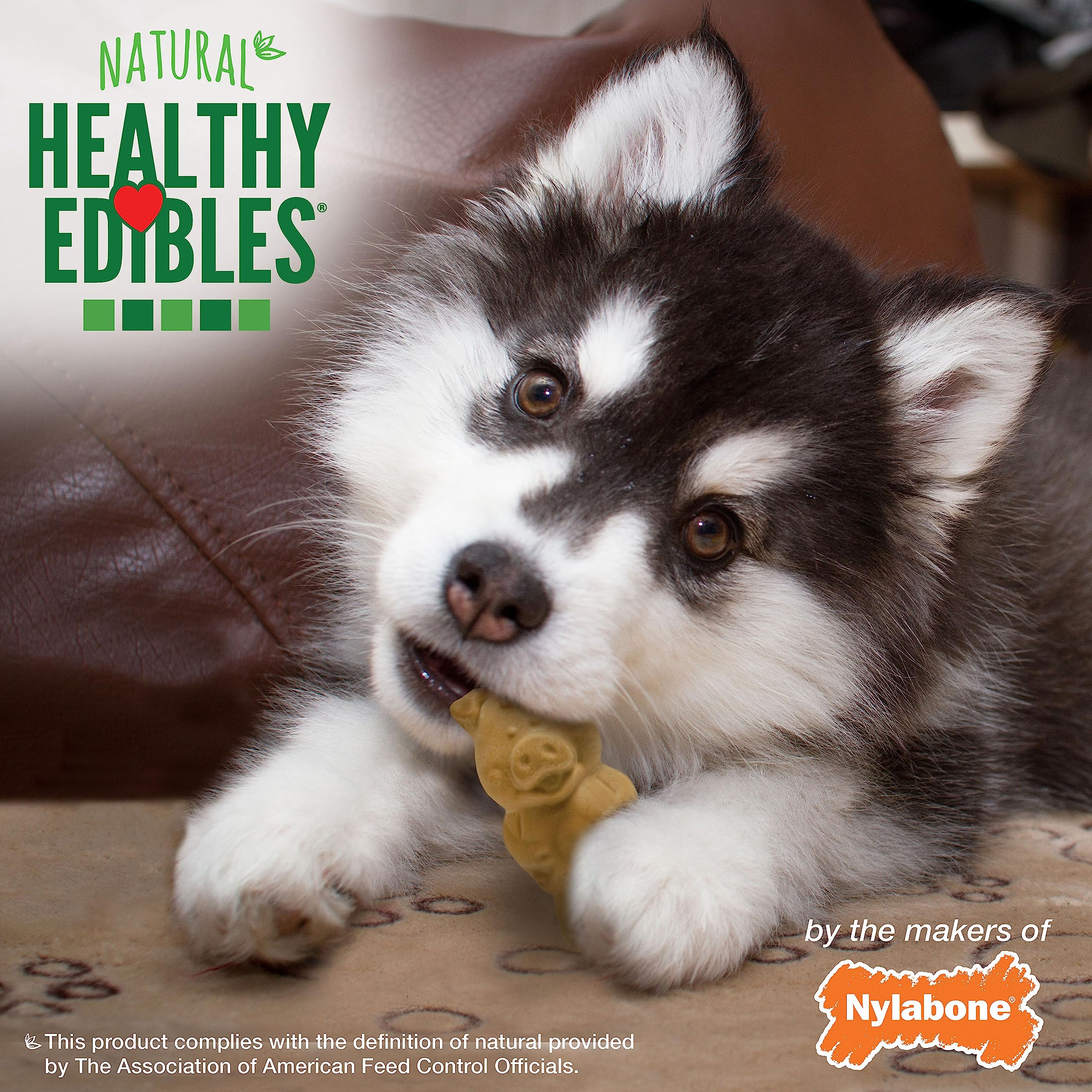 Nylabone Healthy Edibles tamaño pequeño ideal para cachorros.