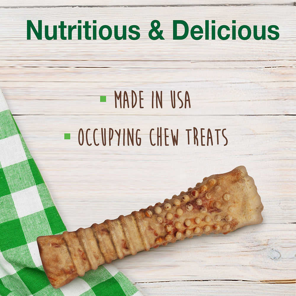 Nylabone Alimentos Saludables durabilidad larga para masticar perros.