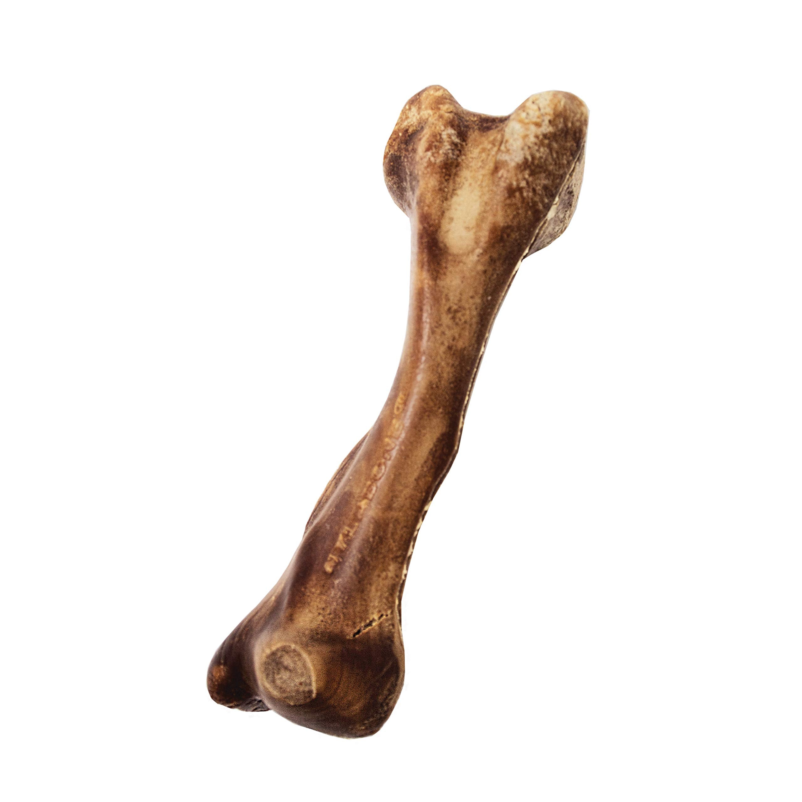 Nylabone Healthy Edibles: alternativa saludable para golosinas diarias de entrenamiento.