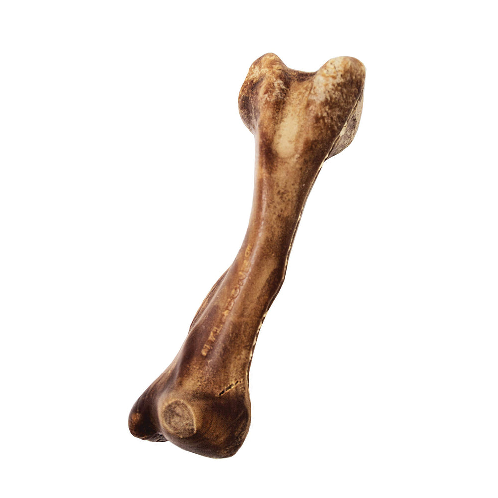 Nylabone Healthy Edibles: alternativa saludable para golosinas diarias de entrenamiento.