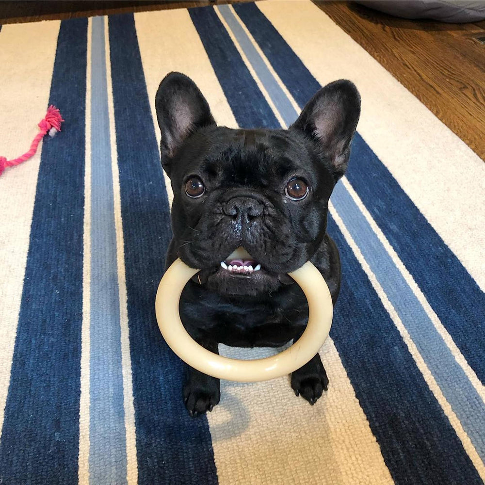Nylabone anillo durabilidad alta para perros fuertes evita la destrucción
