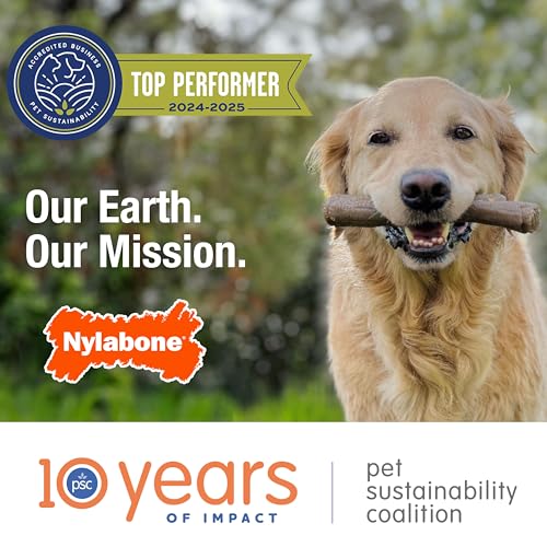 Nylabone Sabor jerky y aroma persistente para perros curiosos.