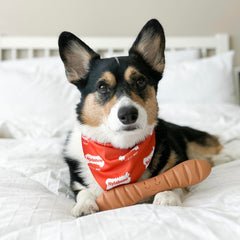 Nylabone baguette con bolsillos texturizados para premios, mantiene ocupado.