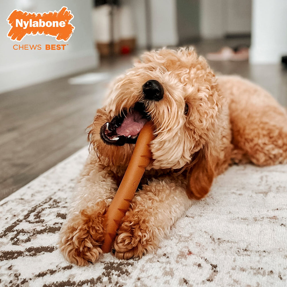 Uso diario del juguete baguette Nylabone para masticación regular.