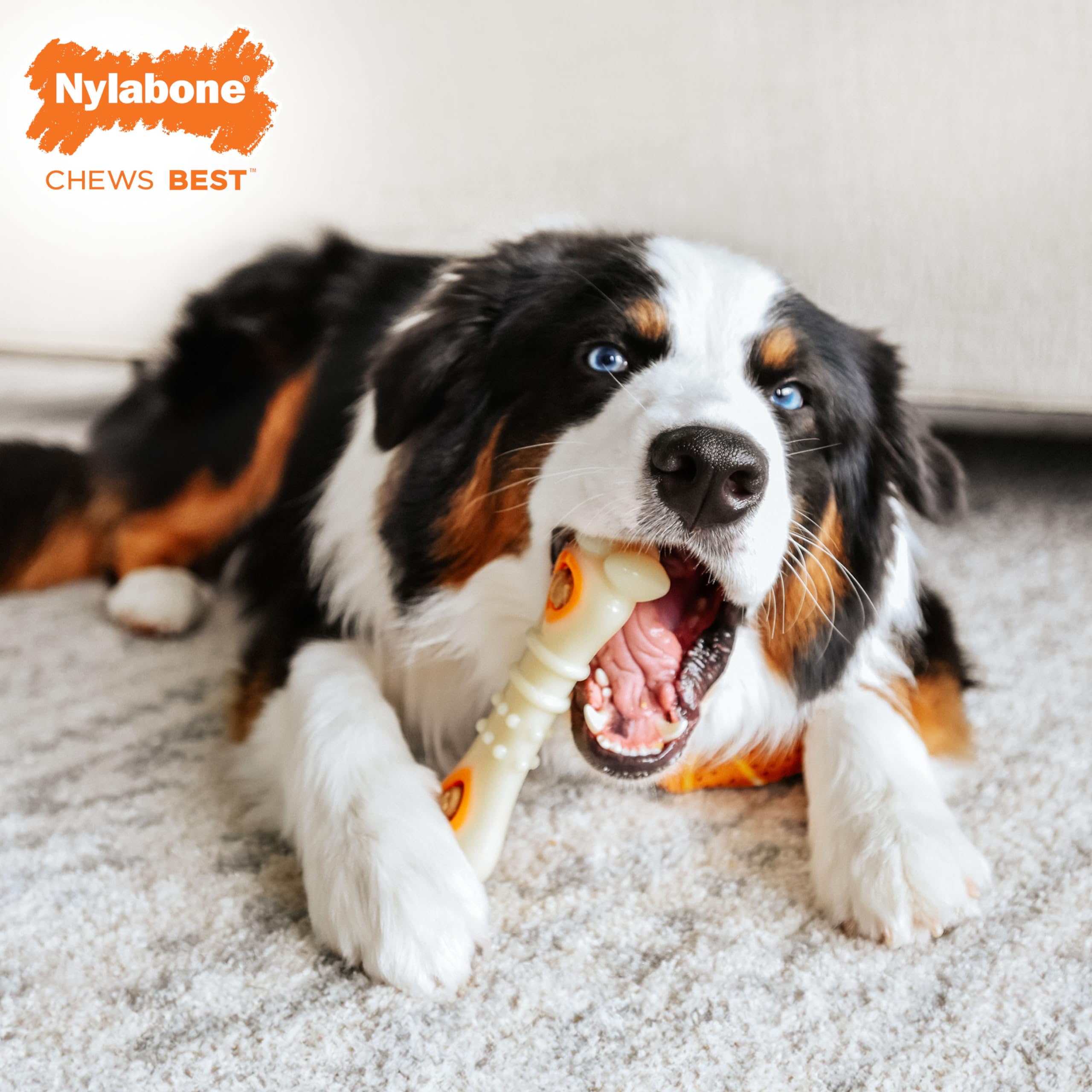 Nylabone Bocaditos digestibles de pollo para masticar