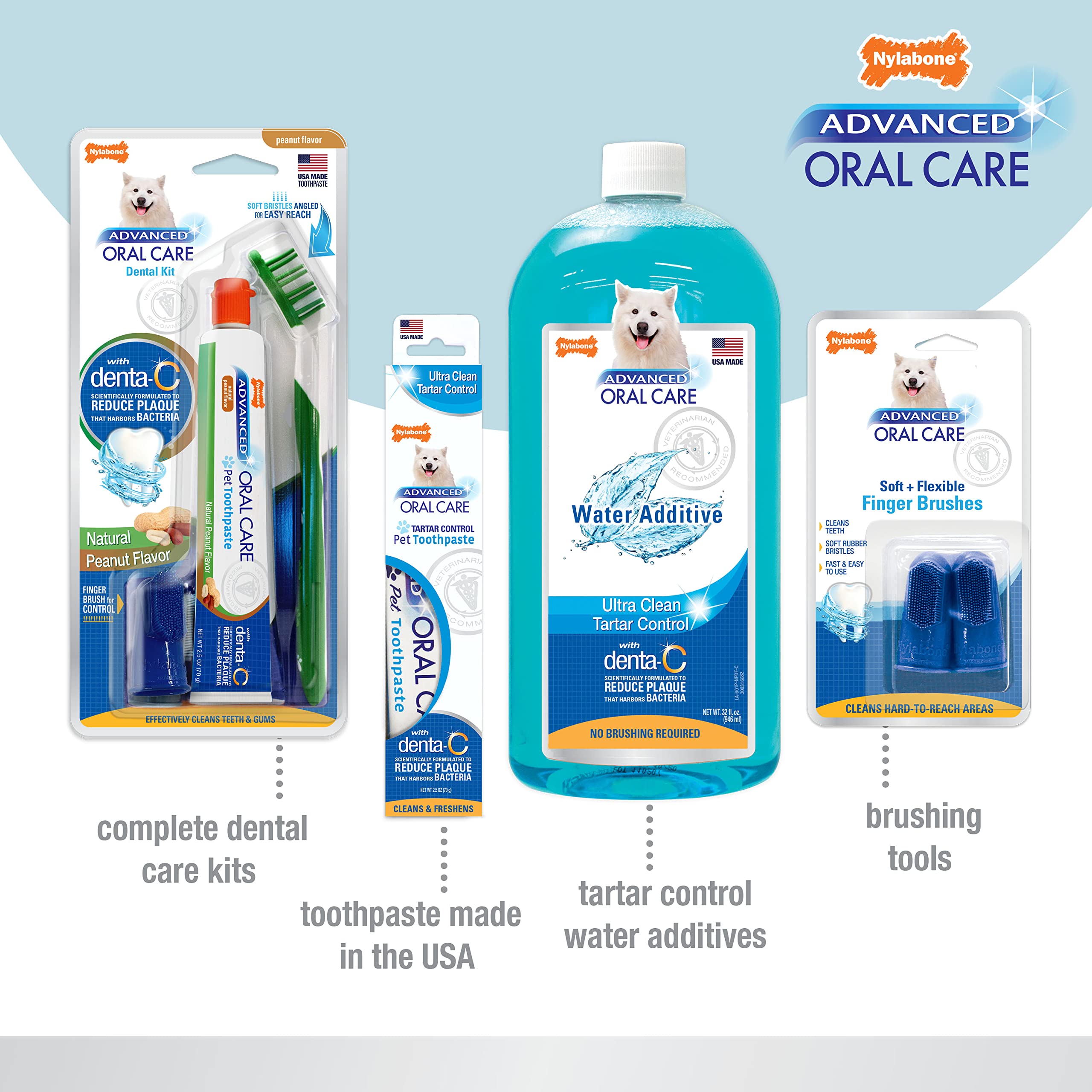 Nylabone Cepillo dental ergonómico para mano, manejo cómodo