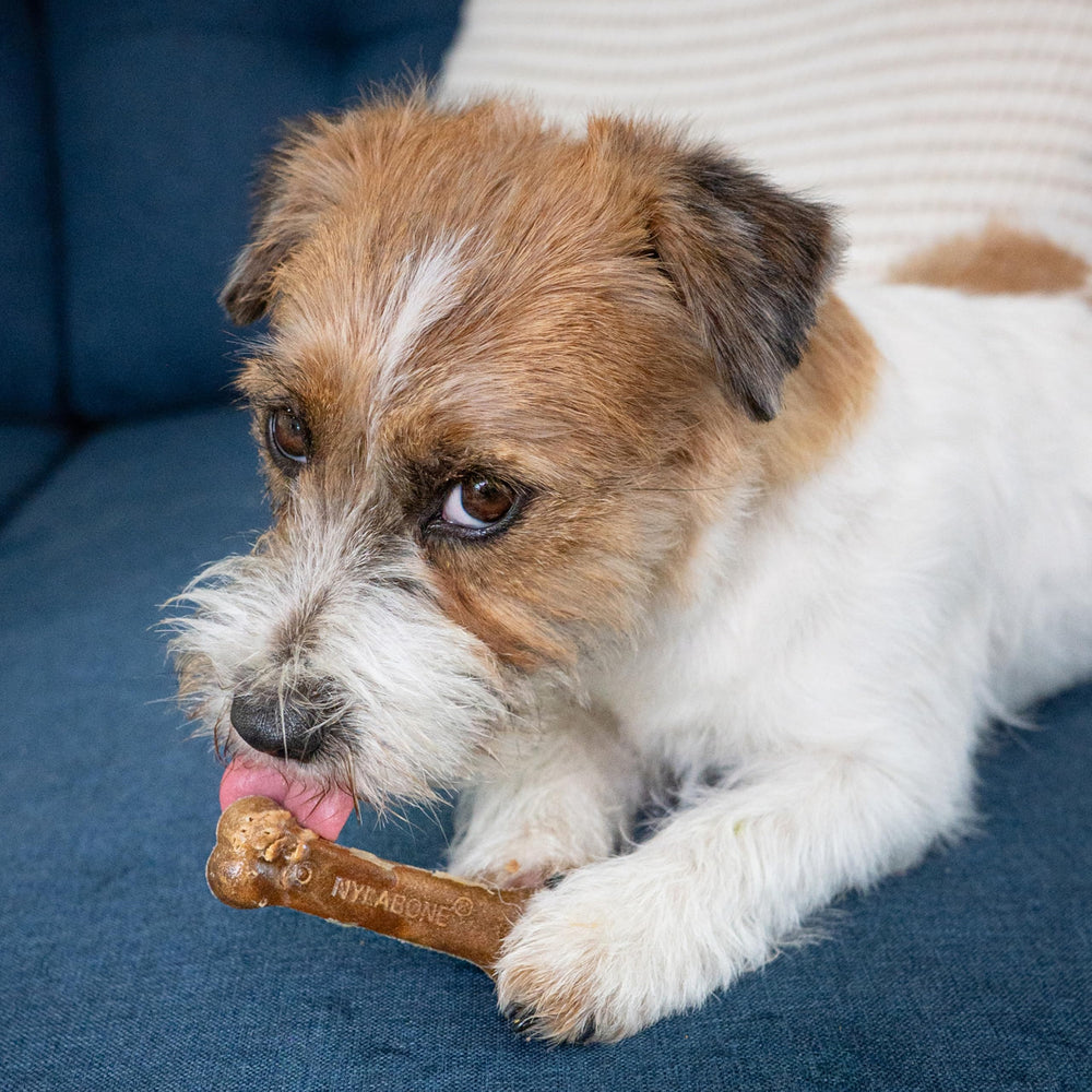 Nylabone sin sal ni conservantes artificiales, snack más saludable