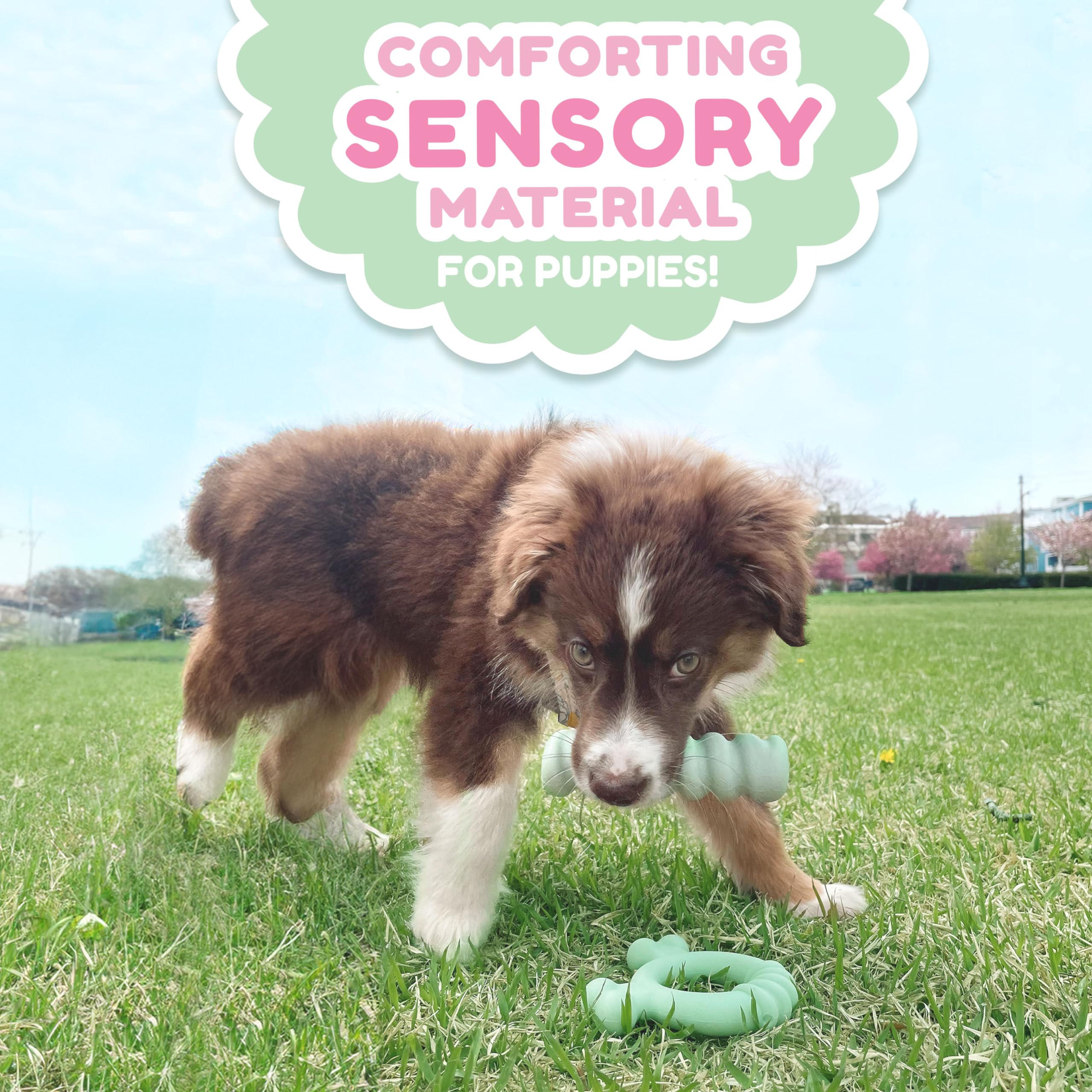 Nylabone diseño para cachorros pequeños, ideal para dientes de leche.