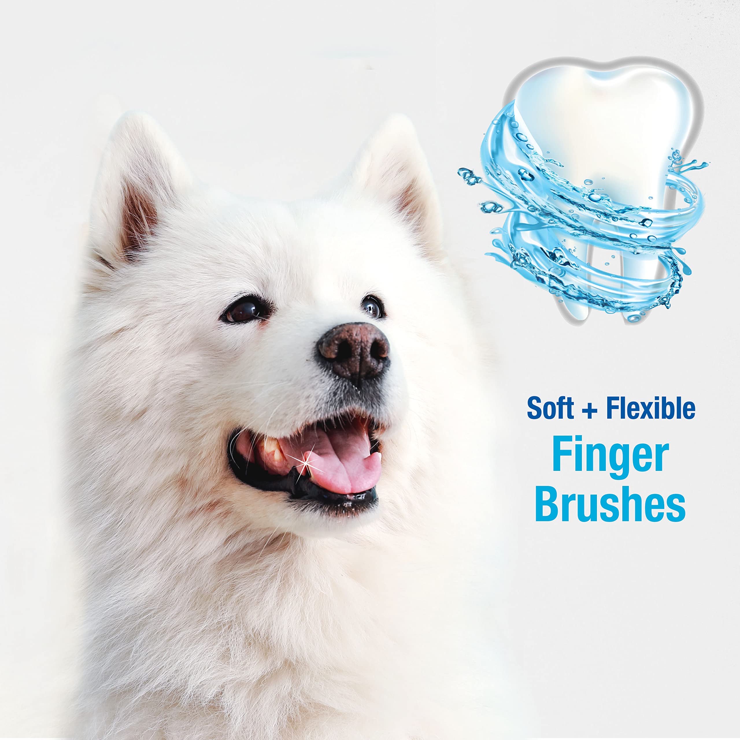 Nylabone dos cepillos dentales para perros en el paquete