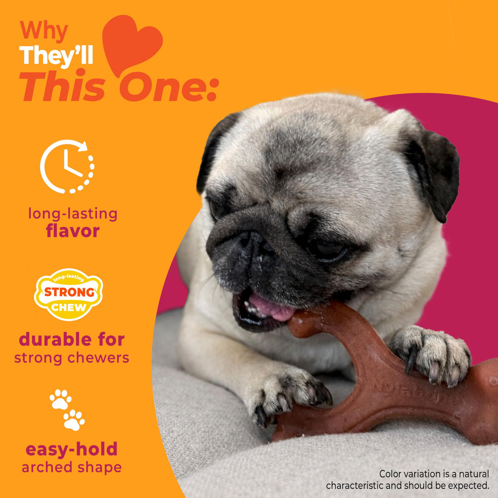 Nylabone durable bacon chew toy for small breeds withstands aggressive chewing.