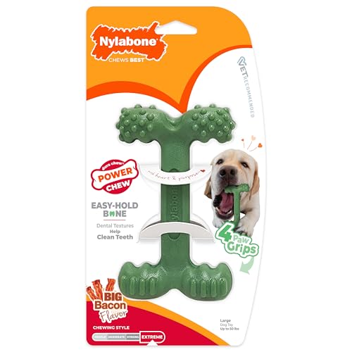 Nylabone ofrece entretenimiento seguro y satisfactorio para perros activos.