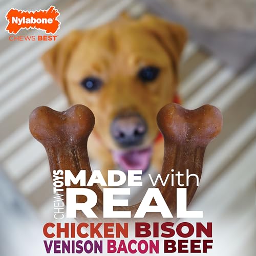 Nylabone Evita aburrimiento y promueve experiencia de masticación.