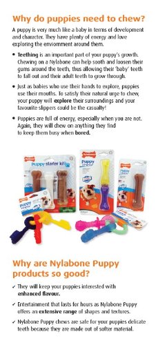 Nylabone Flexi Chew como premio masticable para entrenamiento básico.