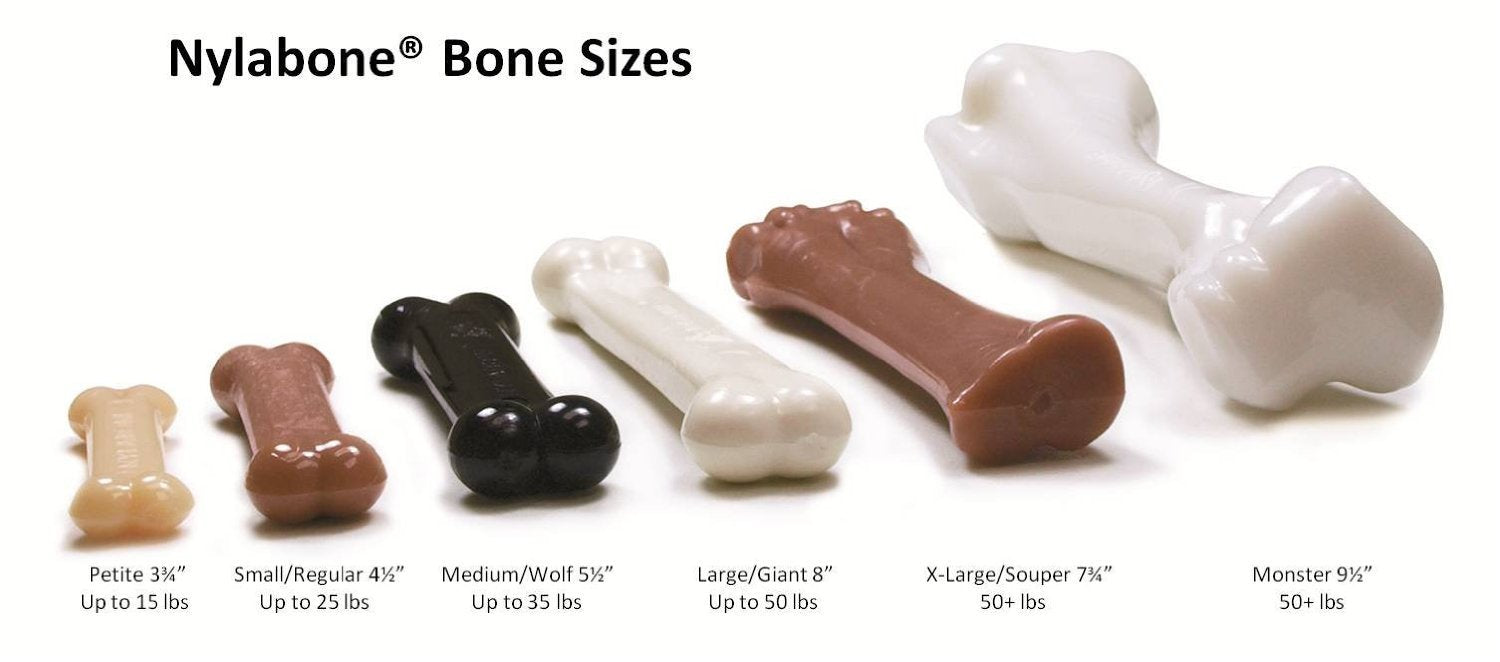 Nylabone FlexiChew durante el juego con un perro, promueve limpieza dental durante la masticación.