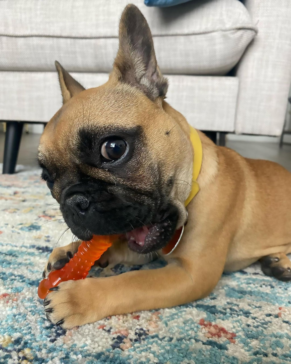Nylabone Freezer Knuckle Bone, alivio al morder con frío, ideal para la dentición.