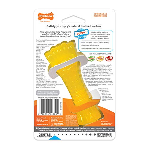 Nylabone Freezer Knuckle Bone, tamaño compacto para perros pequeños y viajes.