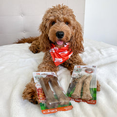 Nylabone golosinas saludables de ciervo salvaje premia al perro con masticación duradera.