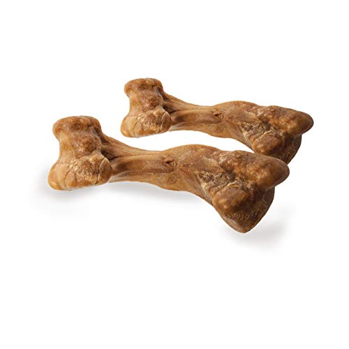 Nylabone Masticación más duradera para perros.
