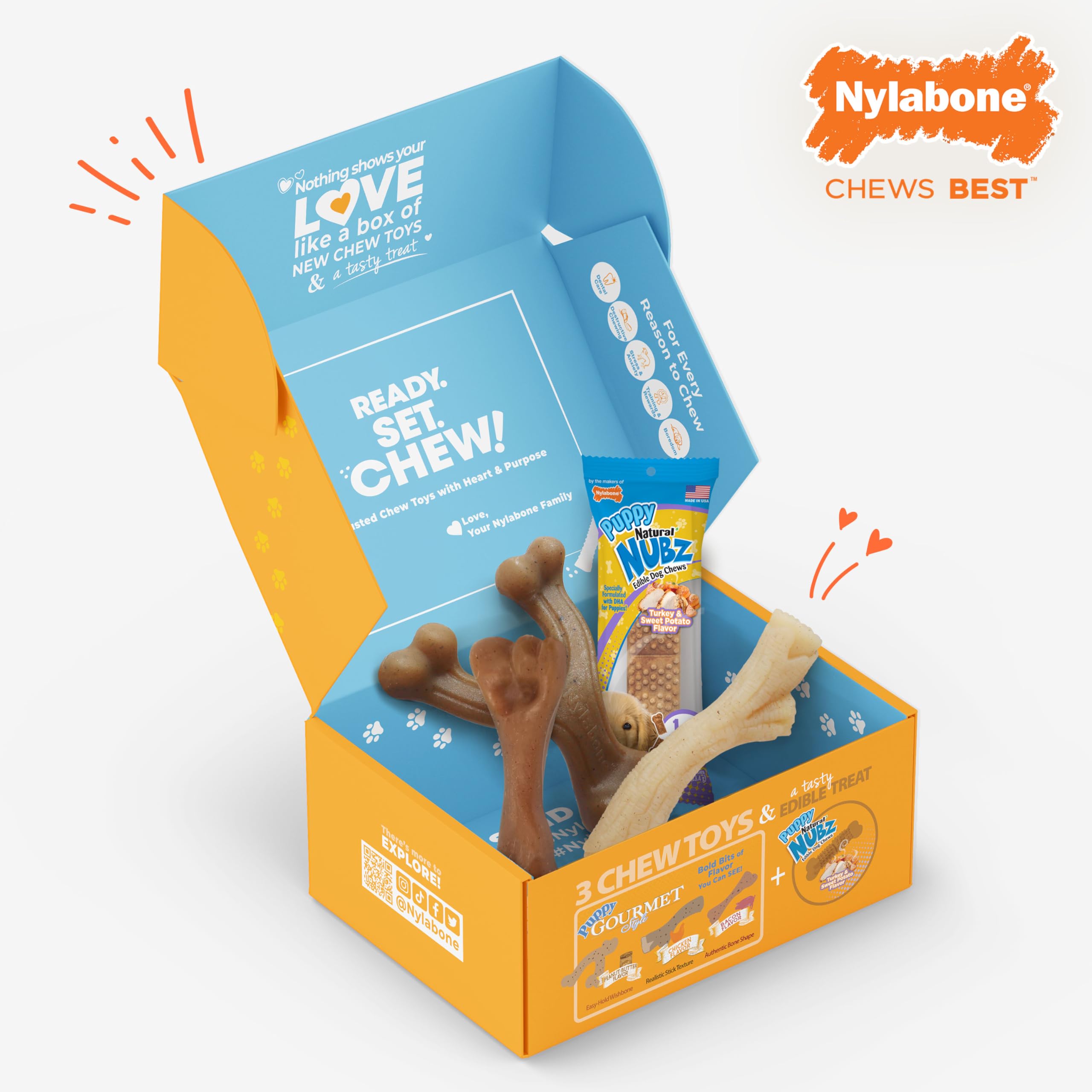 Nylabone Gourmet Flavors: masticables para cachorros con sabores atractivos.