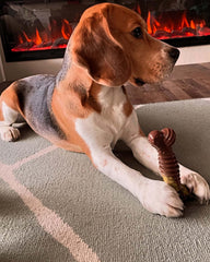 Nylabone Groove Texturas Multiples, fomenta masticación saludable en perros activos