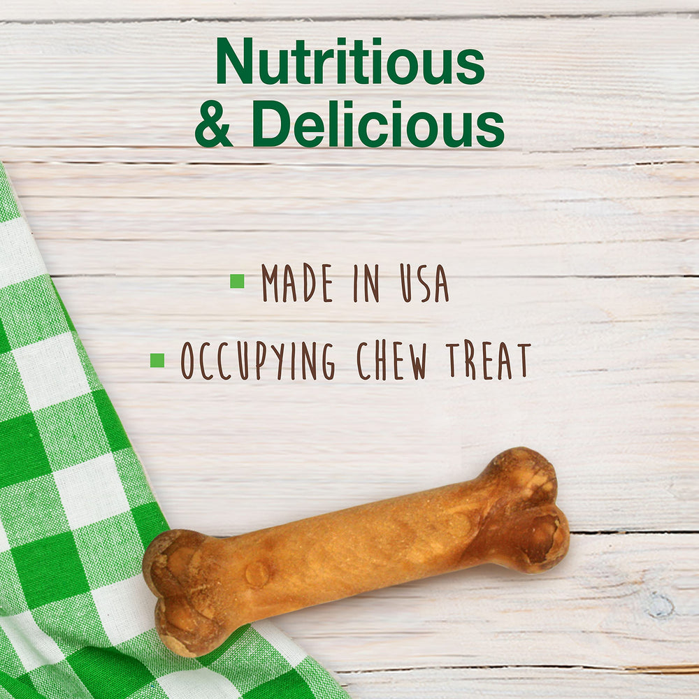 Nylabone Healthy Edibles croqueta duradera para entrenamiento positivo