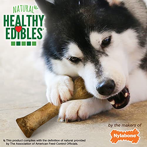 Nylabone Healthy Edibles premio diario con sabor apetitoso.