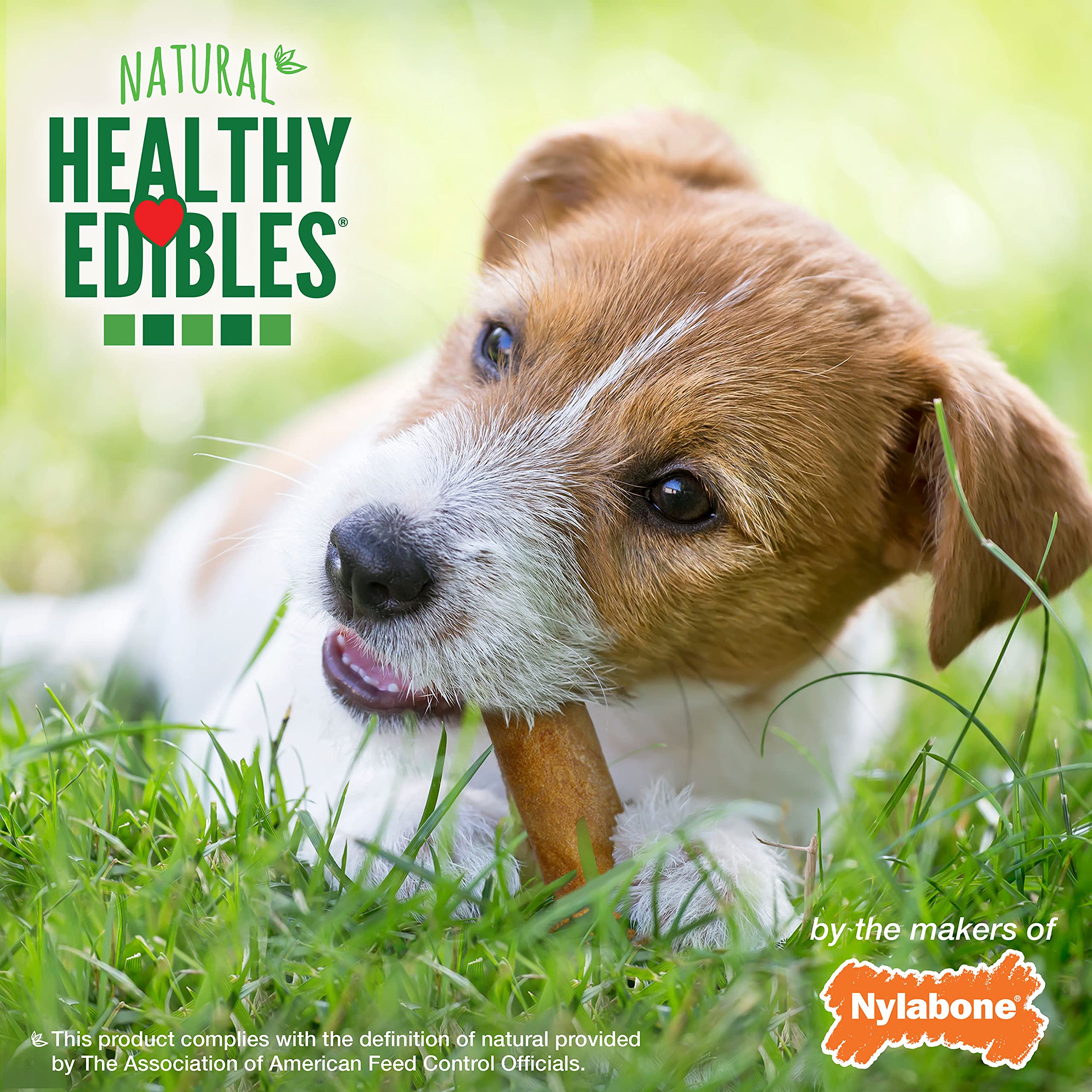 Nylabone Healthy Edibles ayuda en entrenamiento gracias a la masticación prolongada.