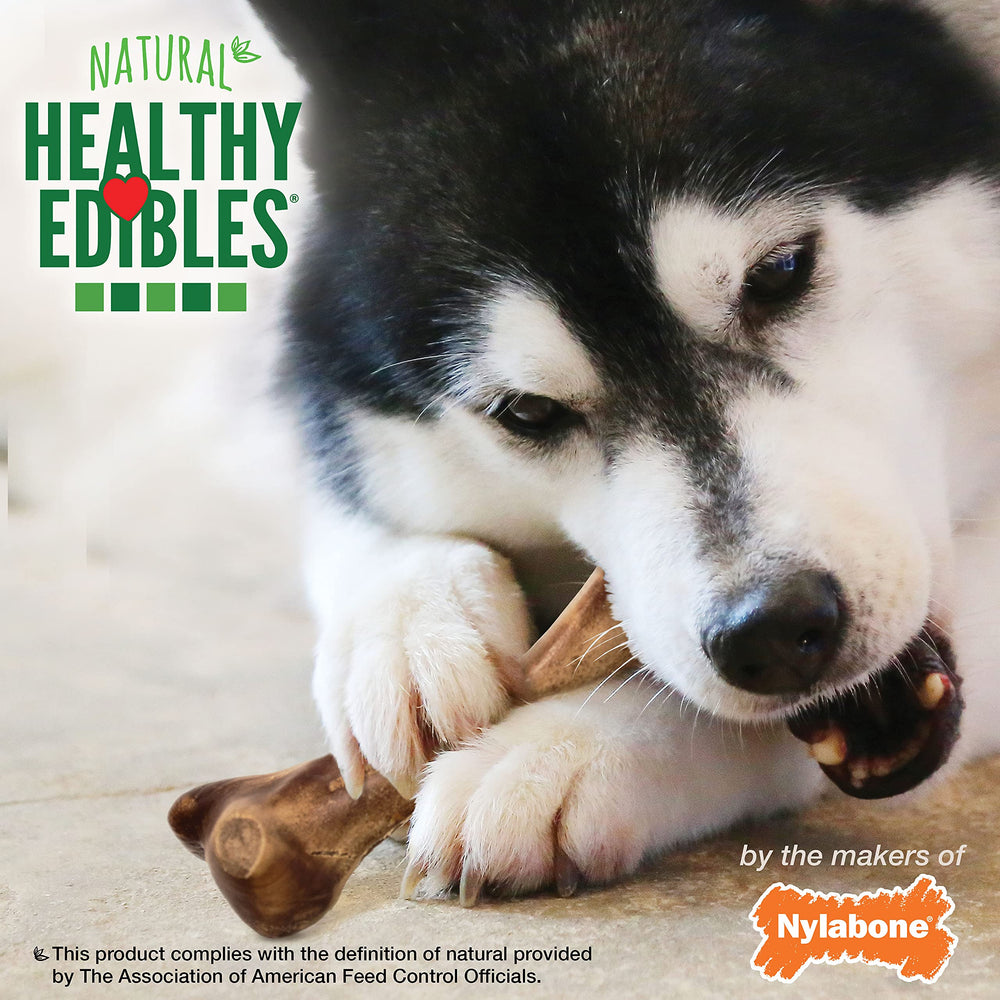 Nylabone Healthy Edibles recompensa de entrenamiento, fomenta buen comportamiento y masticación saludable.