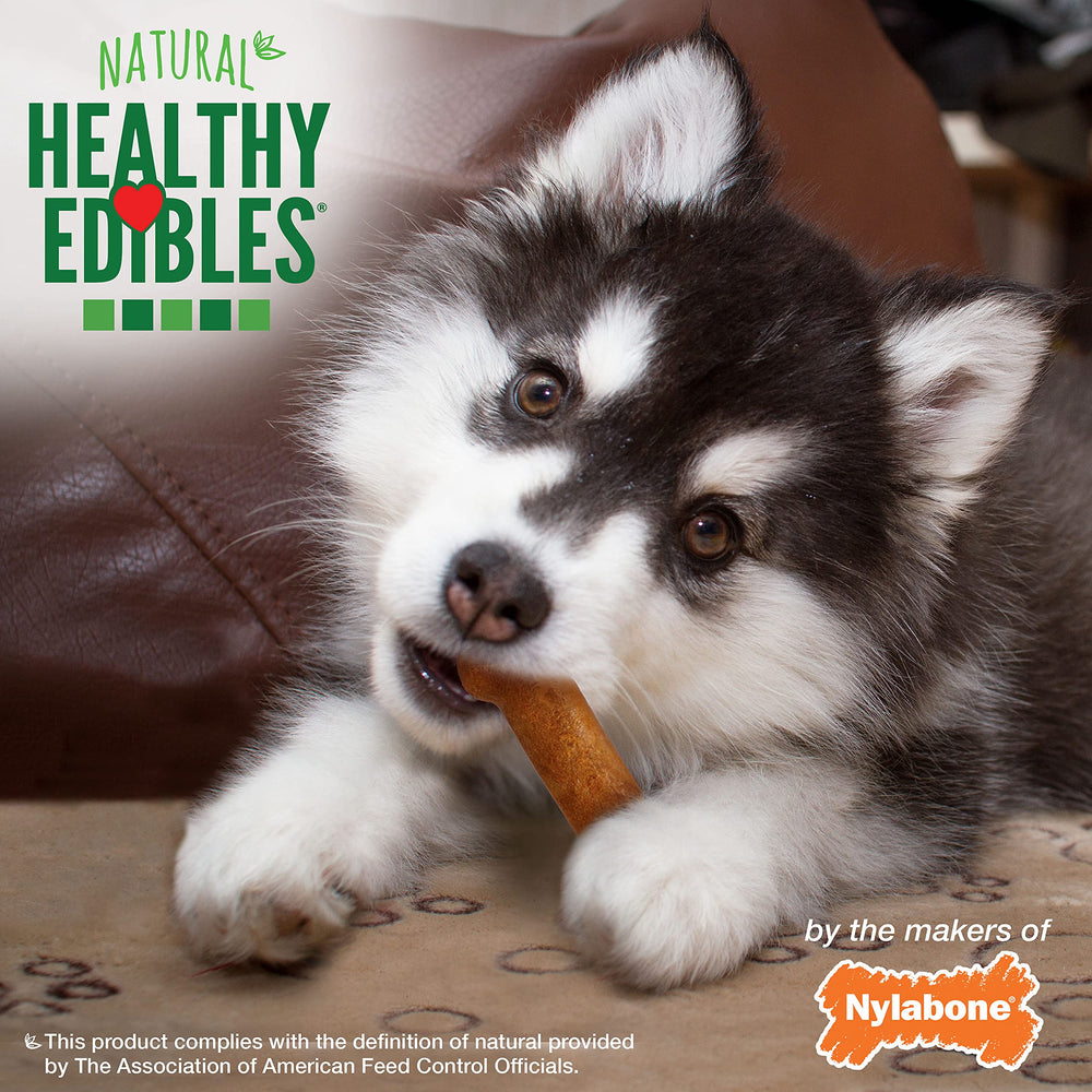 Nylabone Healthy Edibles sin colorantes ni conservantes artificiales