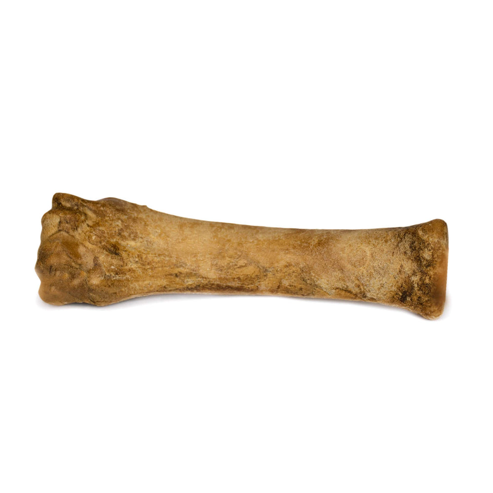 Nylabone Healthy Edibles tamaño extra grande para perros grandes.